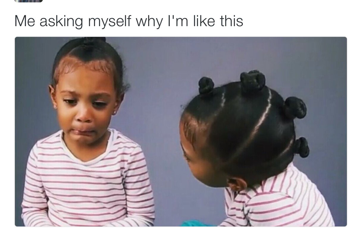 The 25 Funniest Memes and Gifs of 2016
